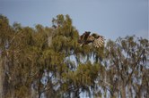 Enlarge photo 40