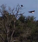 Enlarge photo 49