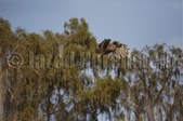 Enlarge photo 48