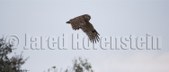 Enlarge photo 49