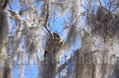Enlarge photo 57