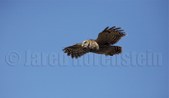 Enlarge photo 58