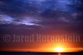Enlarge photo 60