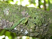 Enlarge photo 14