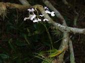 Enlarge photo 38