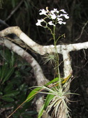 Enlarge photo 37