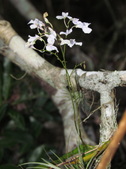 Enlarge photo 35