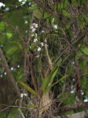Enlarge photo 95