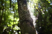Enlarge photo 97