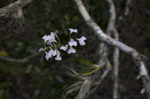 Enlarge photo 36