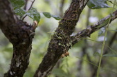 Enlarge photo 45