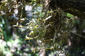 Enlarge photo 99