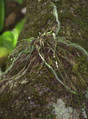 Enlarge photo 46
