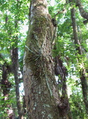 Enlarge photo 47
