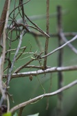 Enlarge photo 42