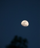 Enlarge photo 94