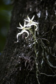 Enlarge photo 58