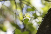 Enlarge photo 59