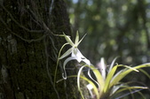 Enlarge photo 62