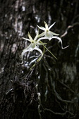 Enlarge photo 63