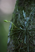 Enlarge photo 49