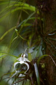 Enlarge photo 55