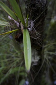 Enlarge photo 33