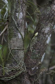 Enlarge photo 48