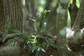 Enlarge photo 80