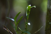 Enlarge photo 89