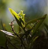 Enlarge photo 91