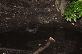 Enlarge photo 98