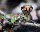 Enlarge photo 103