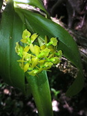 Enlarge photo 40