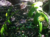 Enlarge photo 39