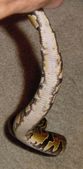 Enlarge photo 18