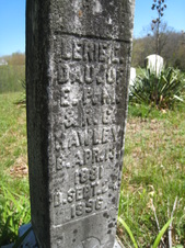 Enlarge photo 20