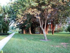 Enlarge photo 33