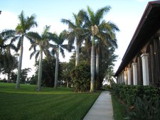 Enlarge photo 32