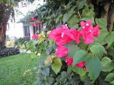 Enlarge photo 34