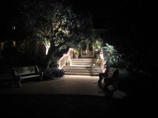 Enlarge photo 37