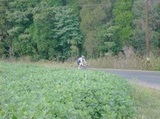 Enlarge photo 27