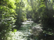 Enlarge photo 10
