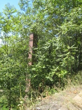 Enlarge photo 29