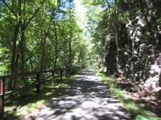 Enlarge photo 31