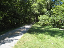 Enlarge photo 36