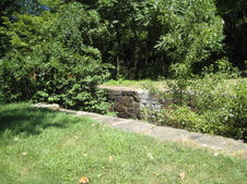 Enlarge photo 37