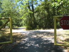 Enlarge photo 39