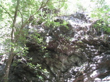 Enlarge photo 41