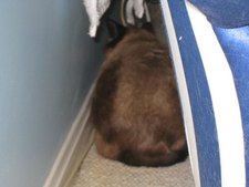 Enlarge photo 3